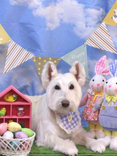 20240326ムーミンくん